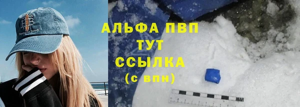 стаф Белокуриха