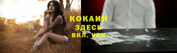 стаф Белокуриха