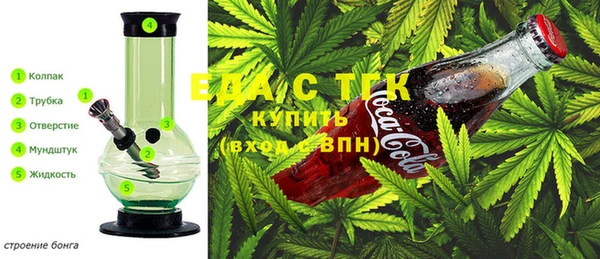 стаф Белокуриха
