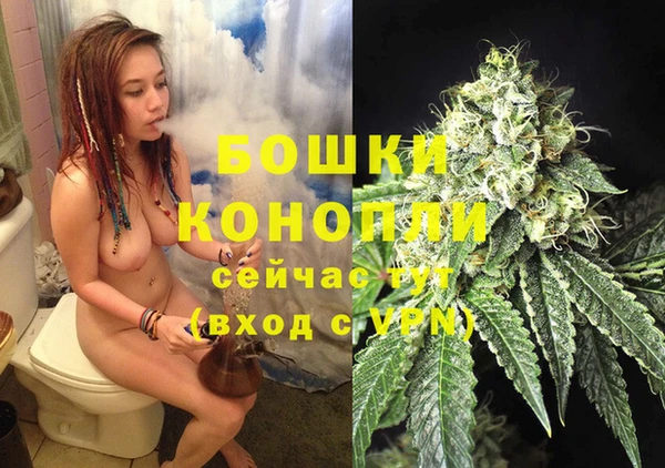 стаф Белокуриха