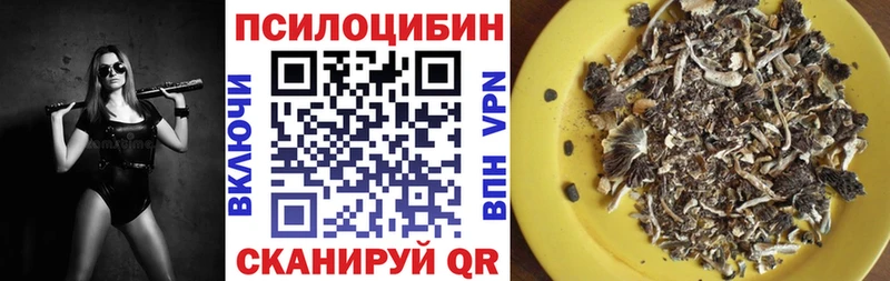 Псилоцибиновые грибы ЛСД Светлогорск